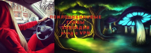 ALPHA PVP Алексин